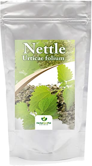 Detail Amazon Nettle Leaf Nomer 38