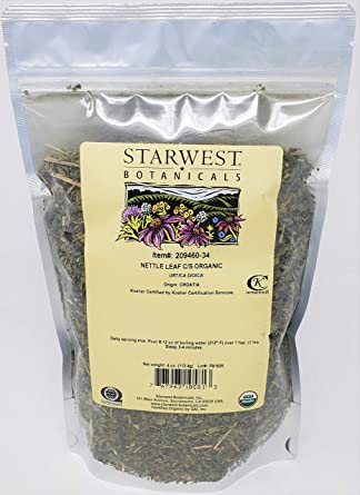 Detail Amazon Nettle Leaf Nomer 40