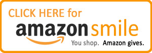 Detail Amazon Official Logo Nomer 41