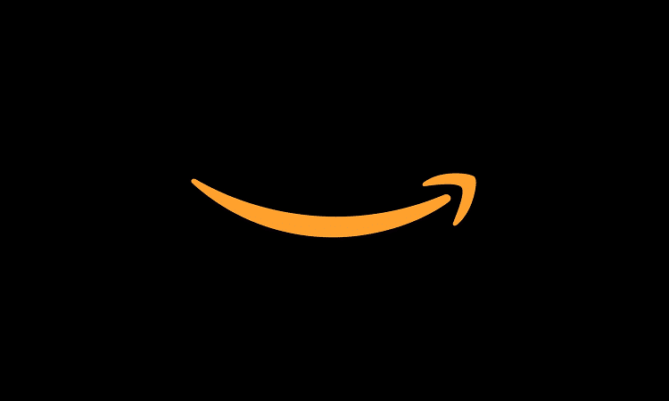 Detail Amazon Smile Logo Png Nomer 15