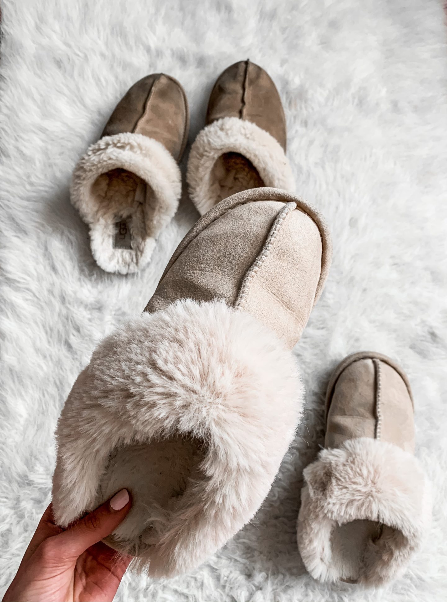 Detail Amazon Ugg Cleaner Nomer 30