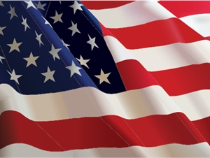 Detail American Flag Logo Nomer 21