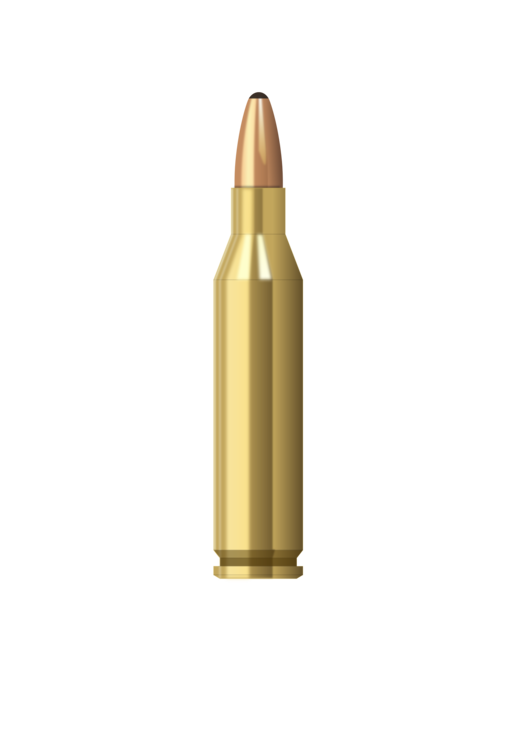 Detail Ammo Png Nomer 12