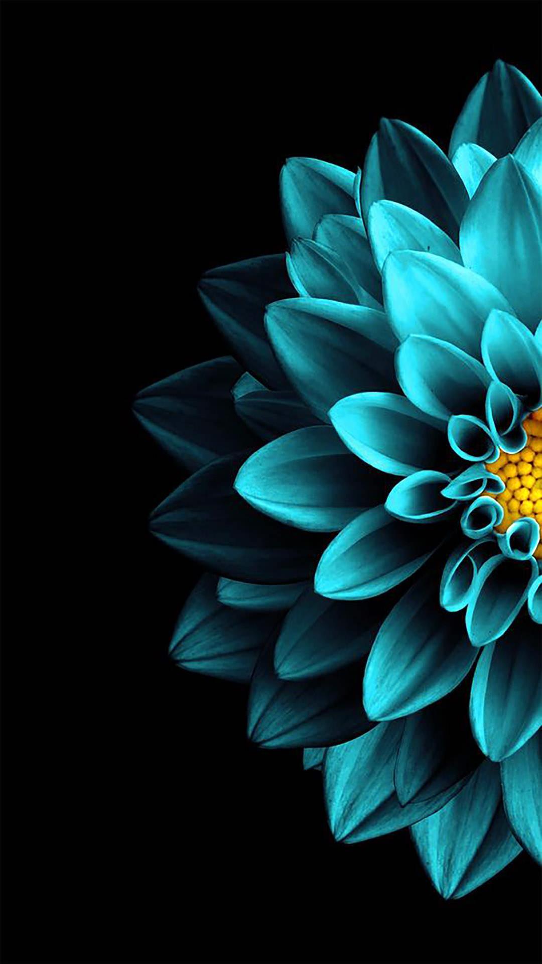 Detail Amoled Wallpaper Hd Nomer 10