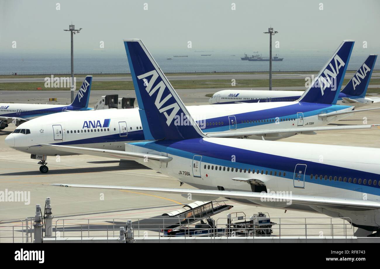 Detail Ana Airlines Logo Png Nomer 57