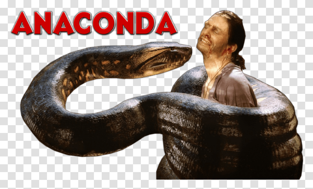 Detail Anaconda Background Nomer 27