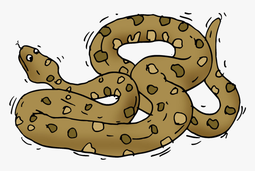 Detail Anaconda Clip Art Nomer 9