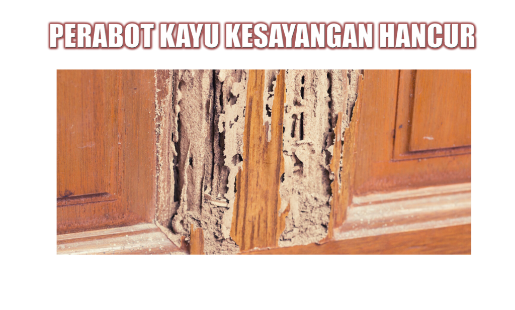 Detail Anai Anai Di Rumah Batu Nomer 29