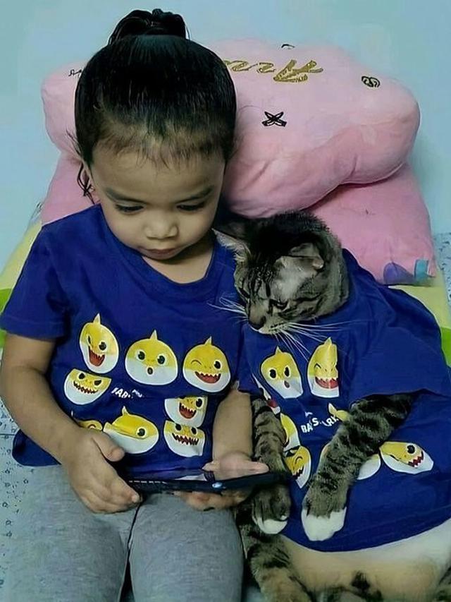 Detail Anak Anak Main Kucing Nomer 26