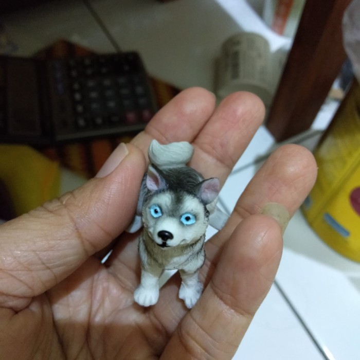 Detail Anak Anjing Siberian Husky Nomer 23