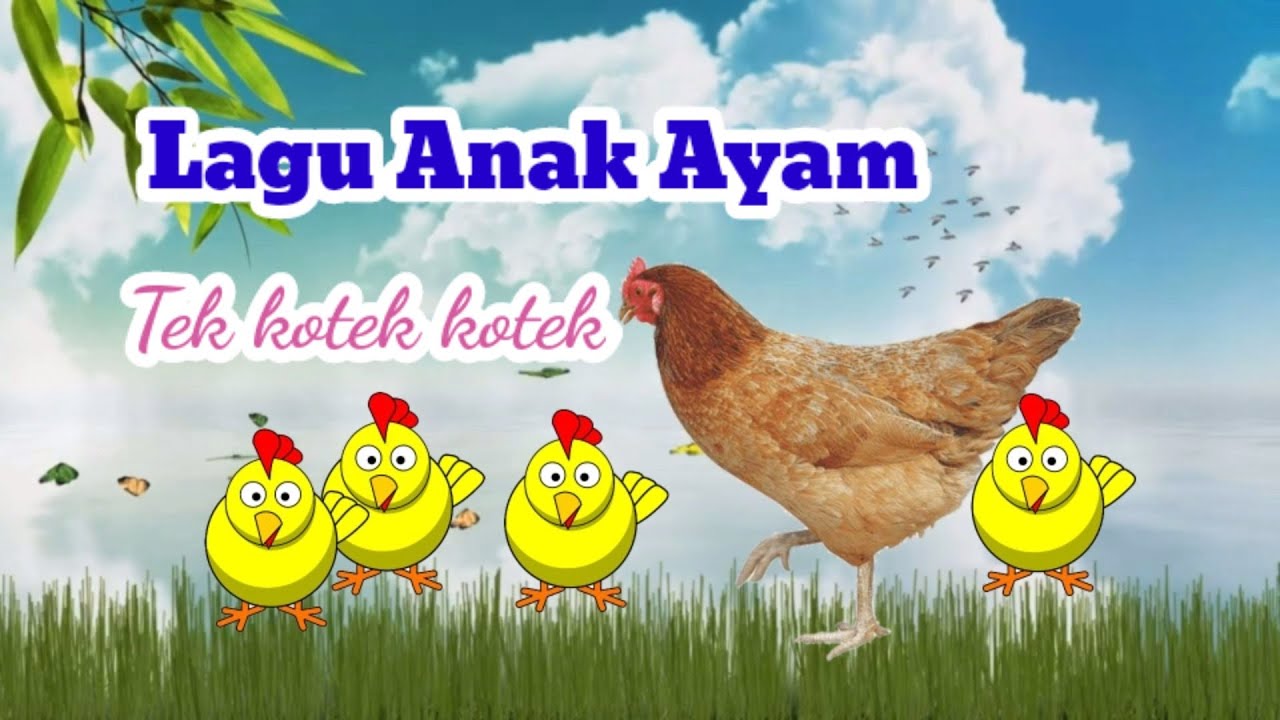 Detail Anak Ayam Joget Nomer 27