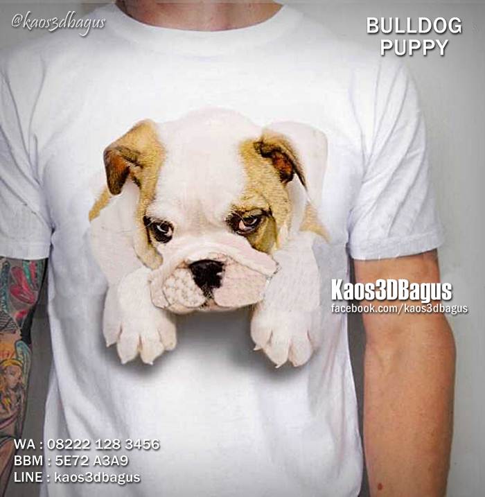 Detail Anak Bulldog Lucu2 Nomer 47