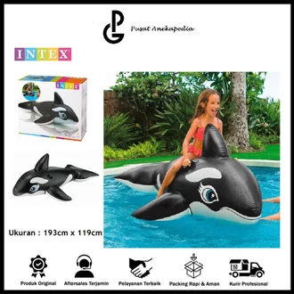 Detail Anak Ikan Paus Nomer 51