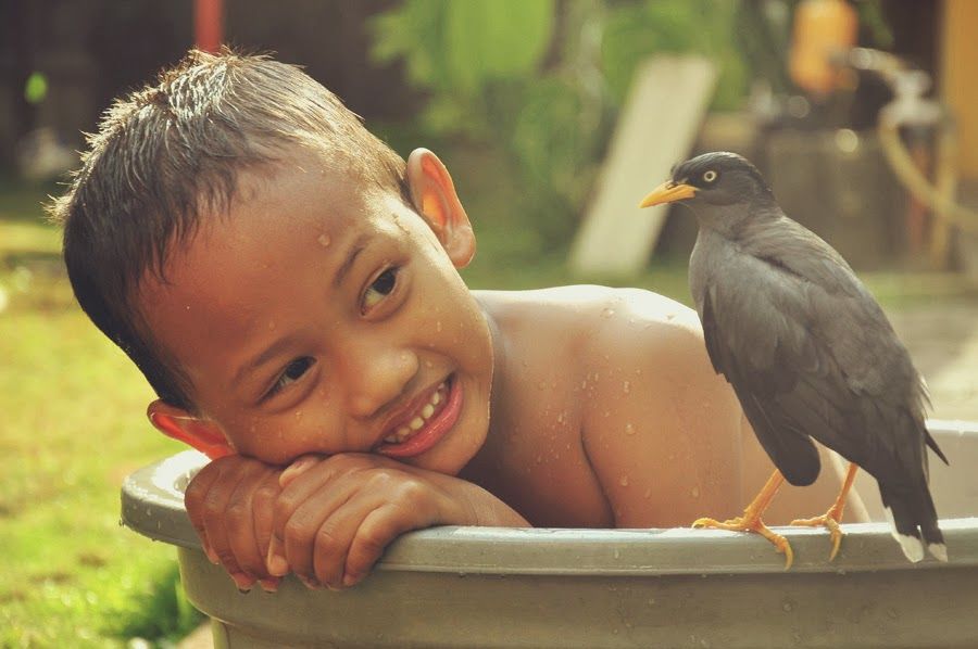 Detail Anak Kecil Main Burung Nomer 12