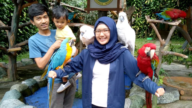 Detail Anak Kecil Main Burung Nomer 15