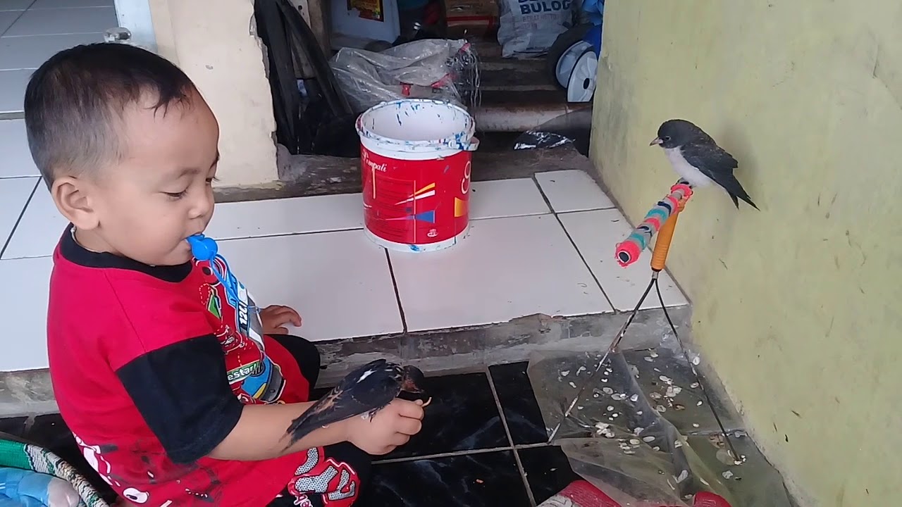 Detail Anak Kecil Main Burung Nomer 3