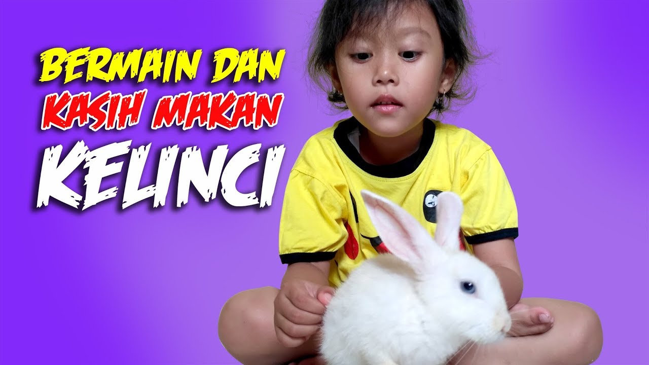 Detail Anak Kelinci Lucu Nomer 33