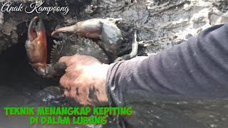 Detail Anak Kepiting Di Lubang Batu Nomer 3