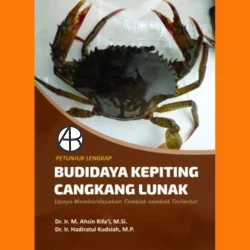 Detail Anak Kepiting Di Lubang Batu Nomer 29