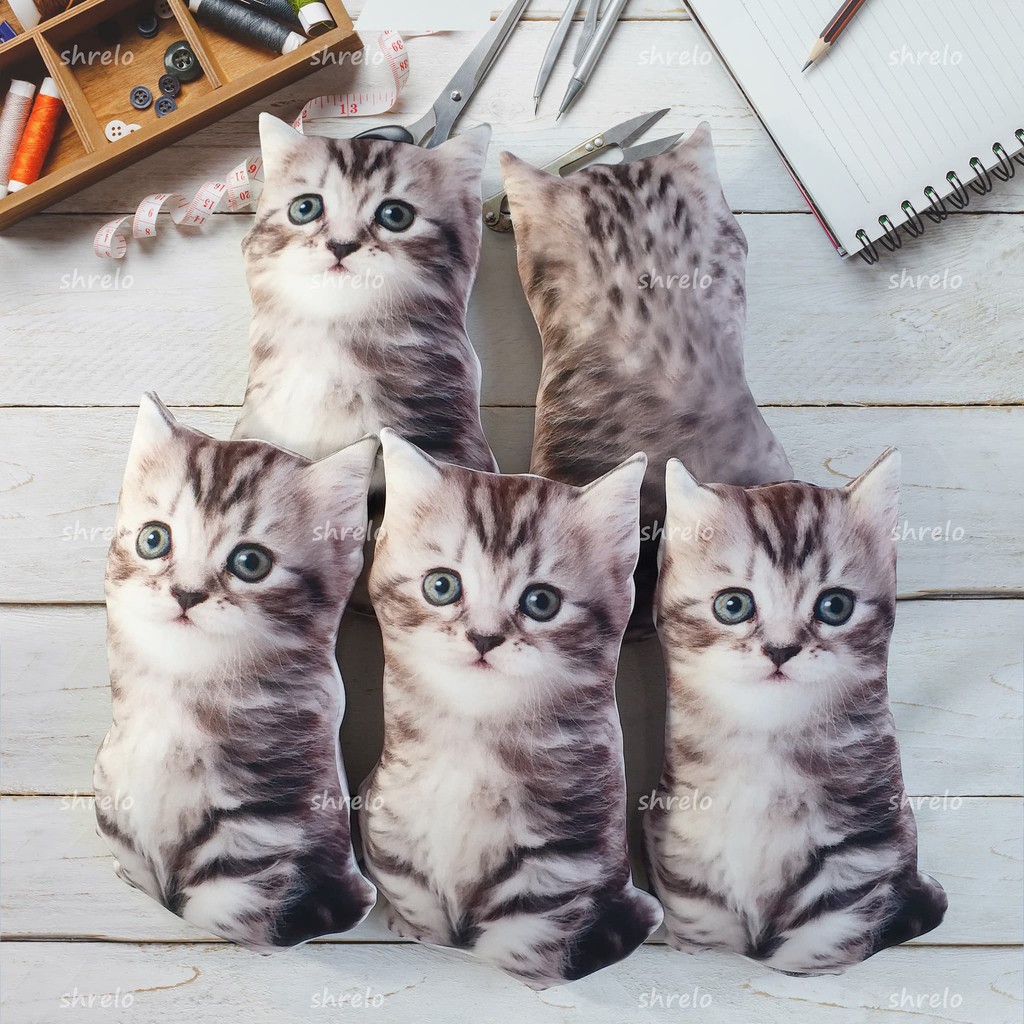 Detail Anak Kucing Comel Nomer 41