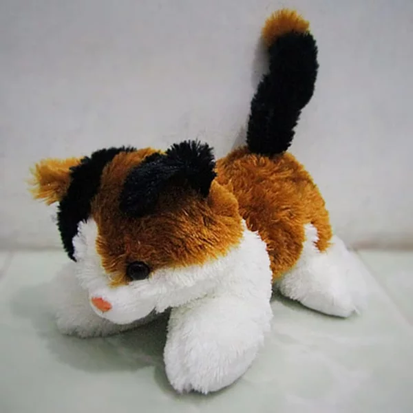 Detail Anak Kucing Lucu Nomer 44