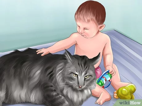Detail Anak Kucing Menkun Nomer 45