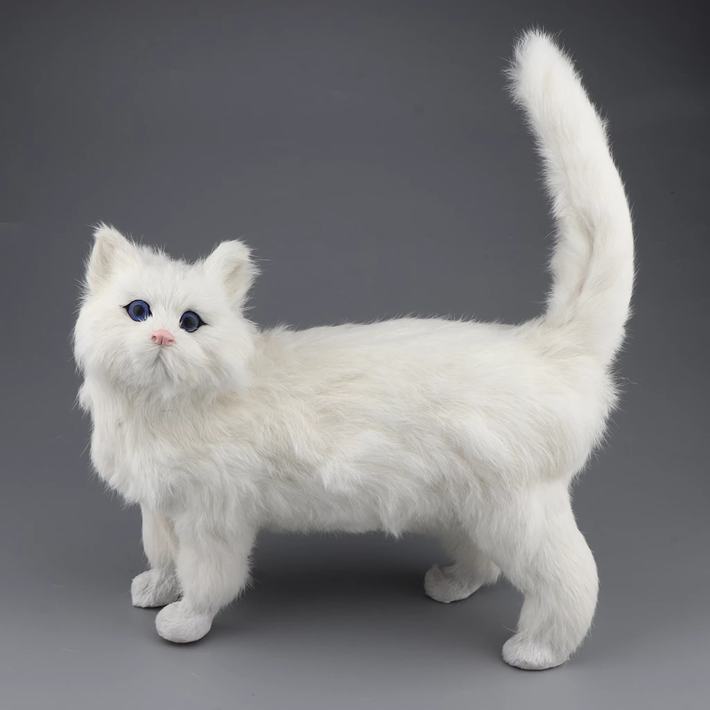 Detail Anak Kucing Putih Nomer 38