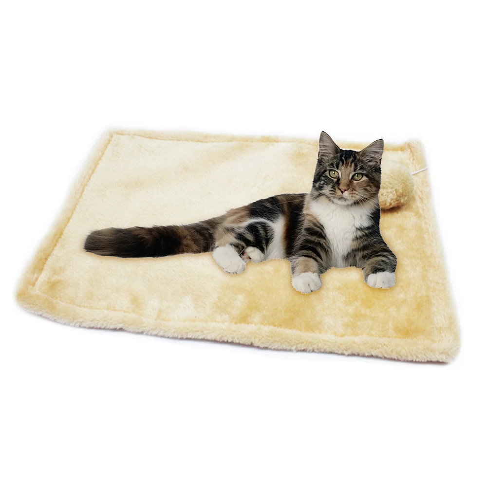 Detail Anak Kucing Tidur Nomer 50