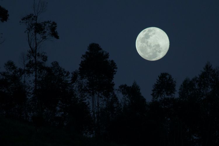 Detail Anak Langit Malam Ini Full Nomer 30