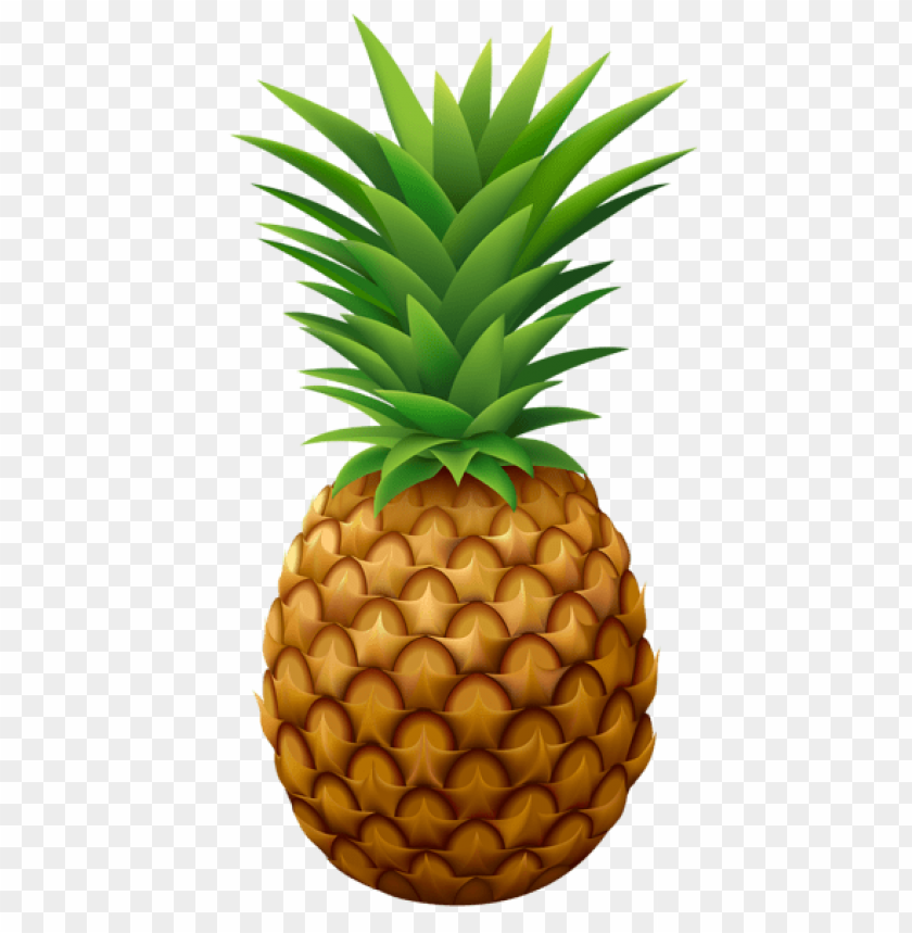 Detail Ananas Png Nomer 18