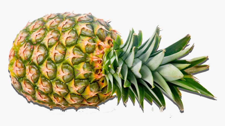 Detail Ananas Png Nomer 38