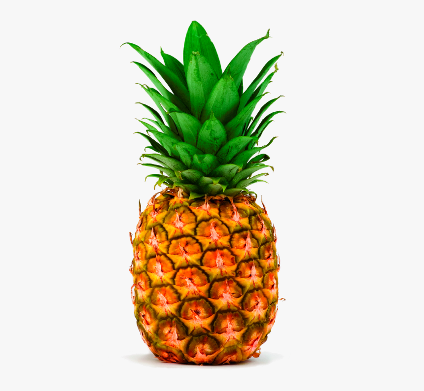 Detail Ananas Png Nomer 5