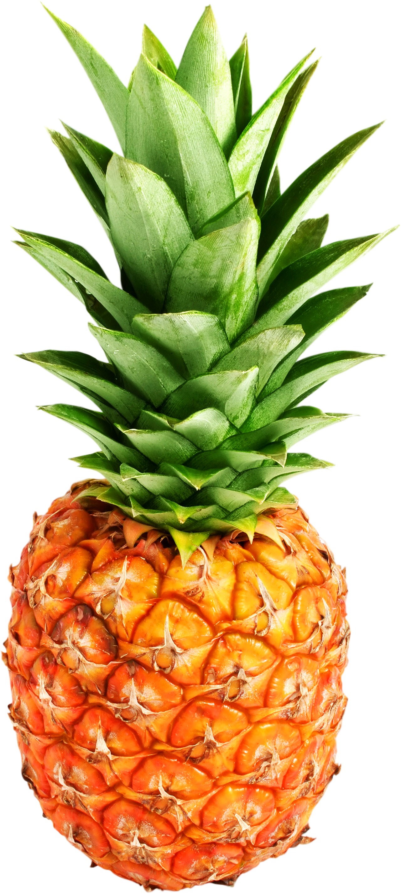 Detail Ananas Png Nomer 6