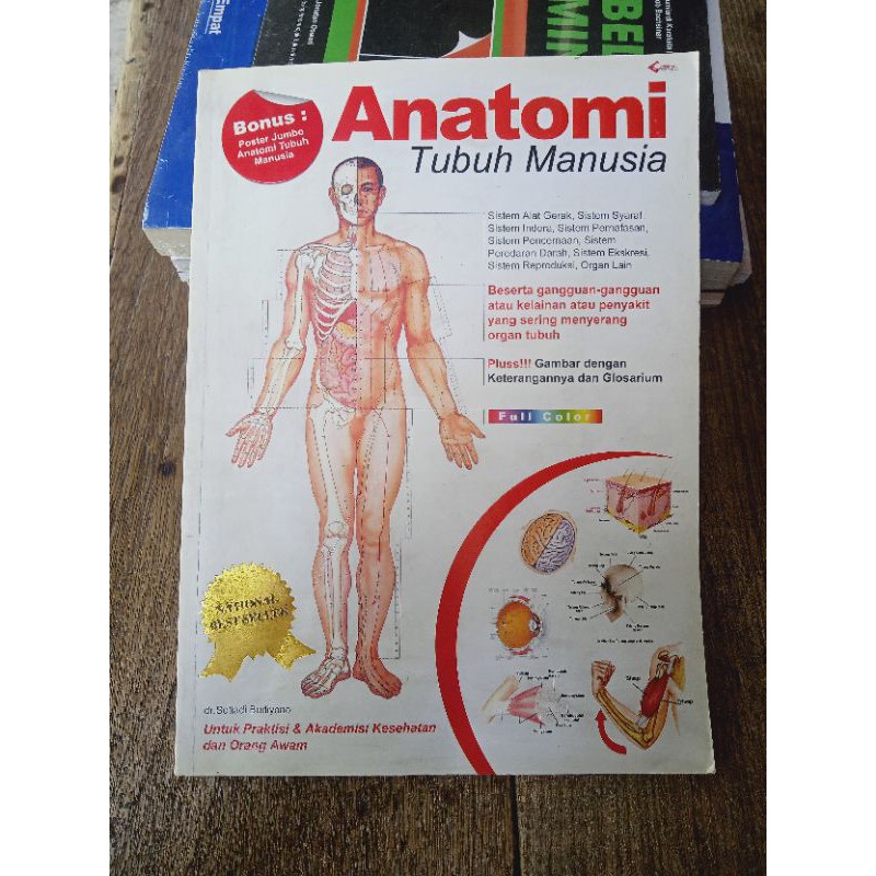 Detail Anatomi Tubuh Laki Laki Nomer 41