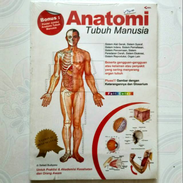 Detail Anatomi Tubuh Wanita Nomer 48