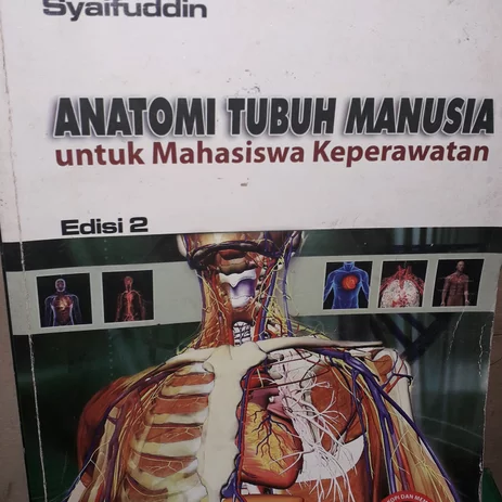 Detail Anatomi Tubuh Wanita Asli Nomer 44
