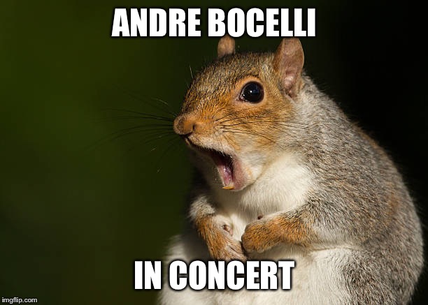 Detail Andrea Bocelli Meme Nomer 43
