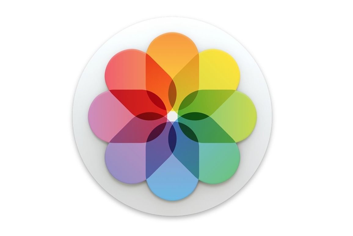 Detail Android Gallery Logo Nomer 27