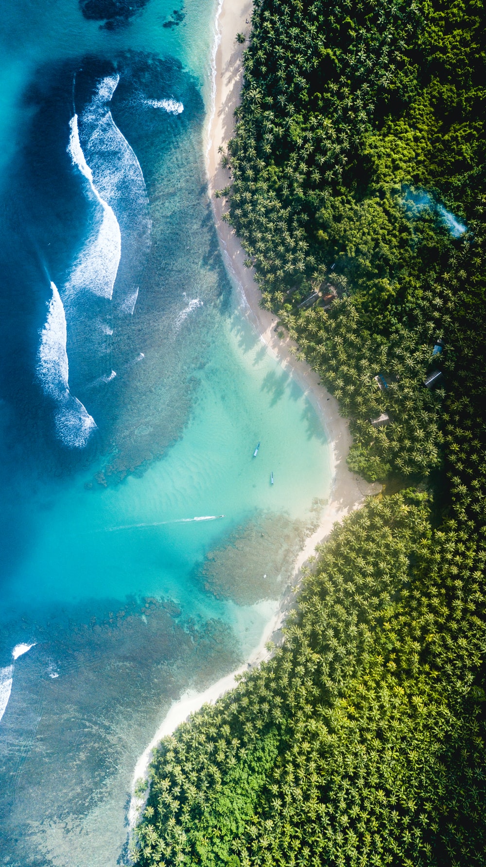 Detail Android One Wallpaper Nomer 19