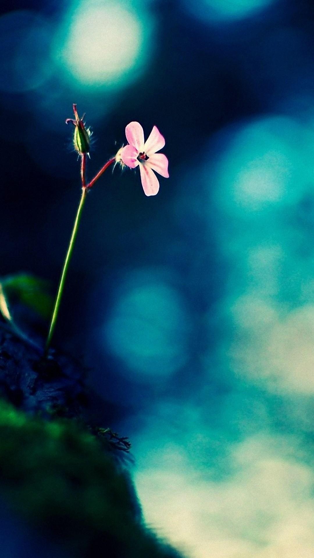 Detail Android Wallpaper Size Nomer 48