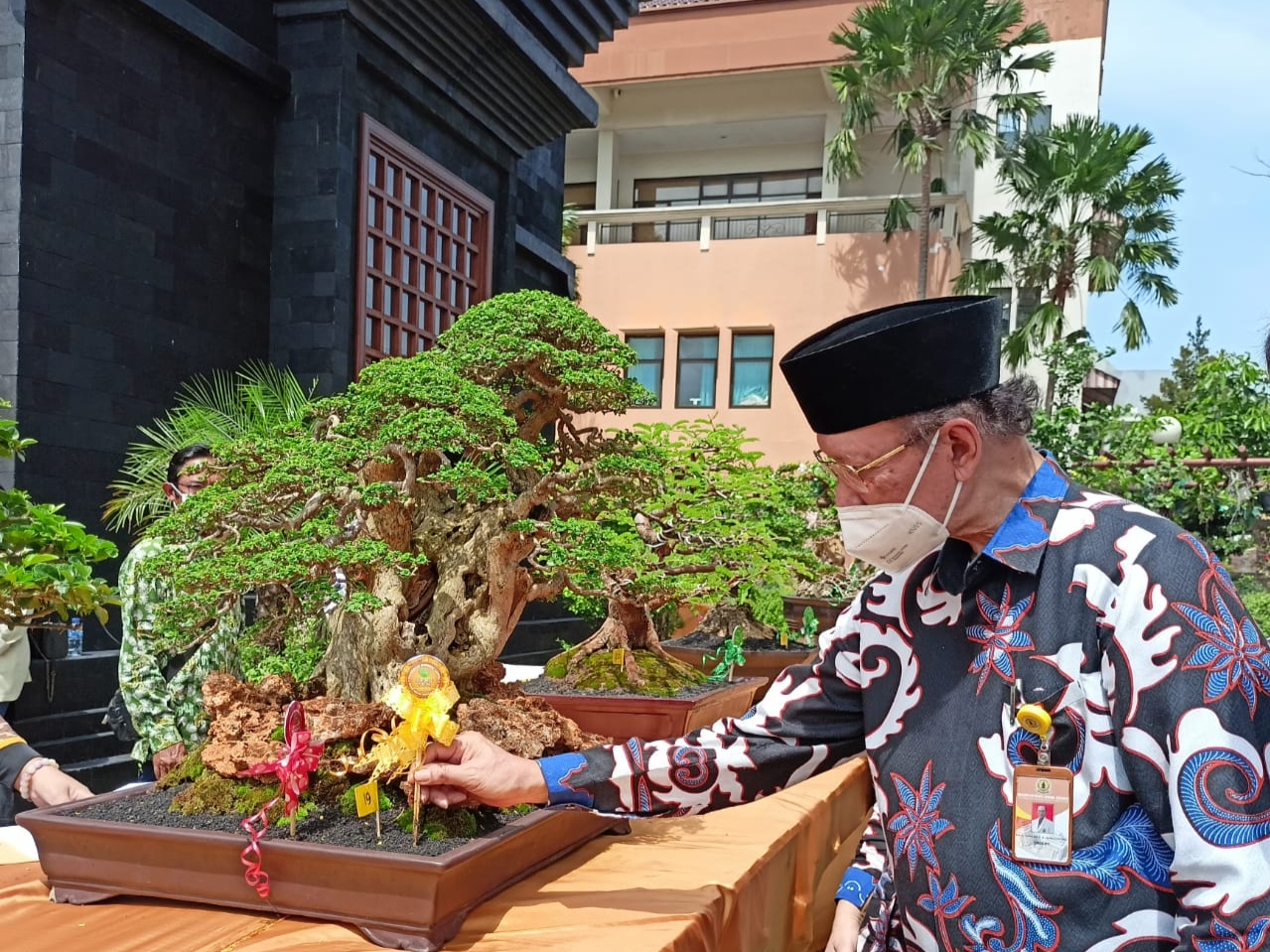 Detail Aneka Bonsai Cantik Nomer 40