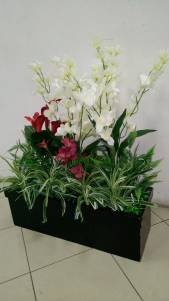 Detail Aneka Bunga Cantik Nomer 9