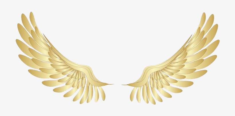Detail Angel Halo Wing Png Nomer 16