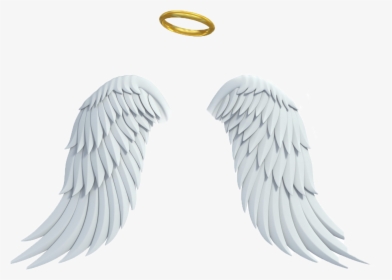 Detail Angel Halo Wing Png Nomer 4