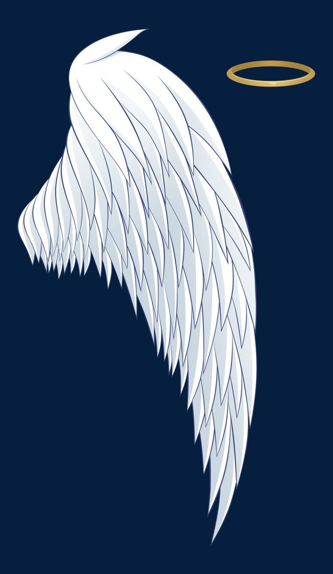 Detail Angel Halo Wing Png Nomer 42