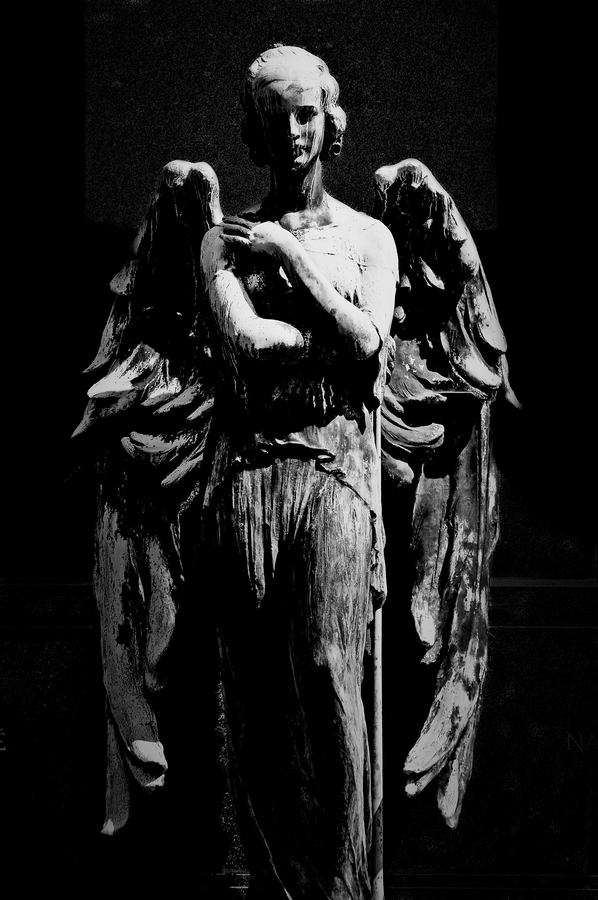 Detail Angel Pictures Black And White Nomer 34