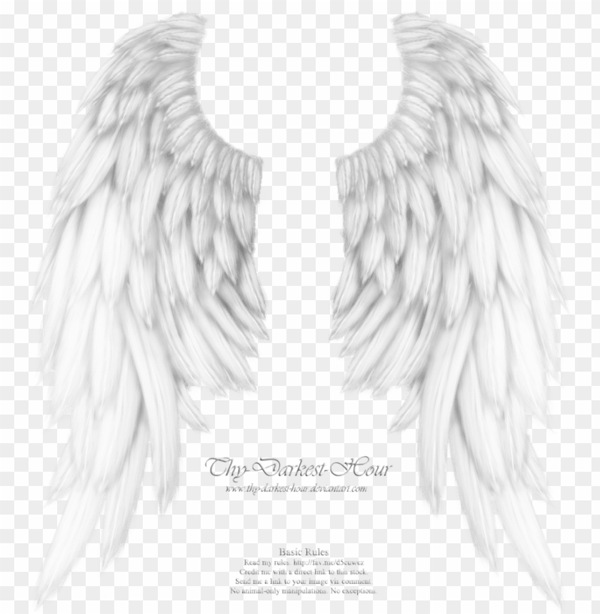 Detail Angel Pictures To Download Nomer 47