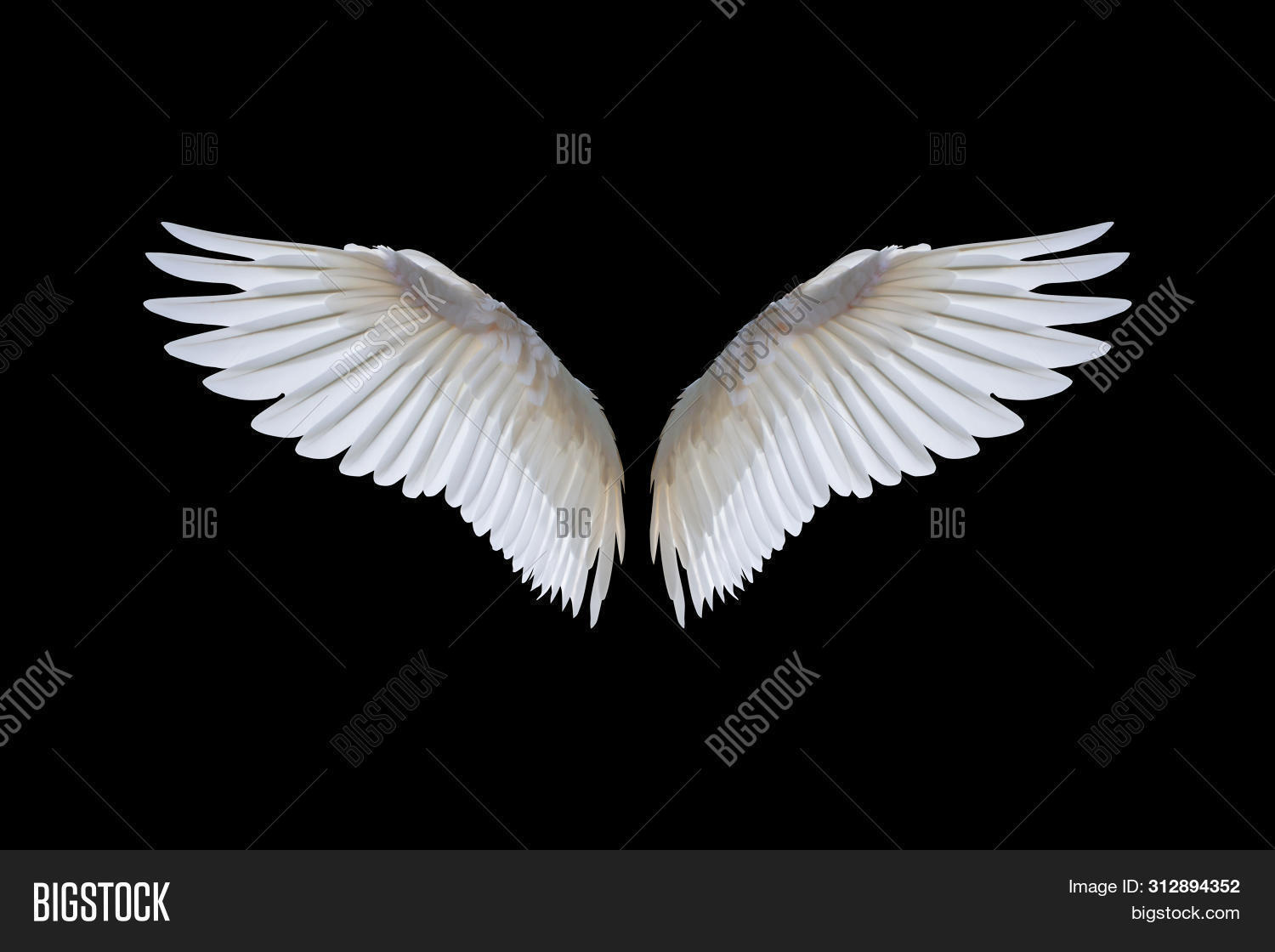 Detail Angel Wing Backgrounds Nomer 32