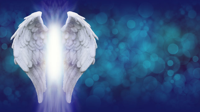 Detail Angel Wing Backgrounds Nomer 55