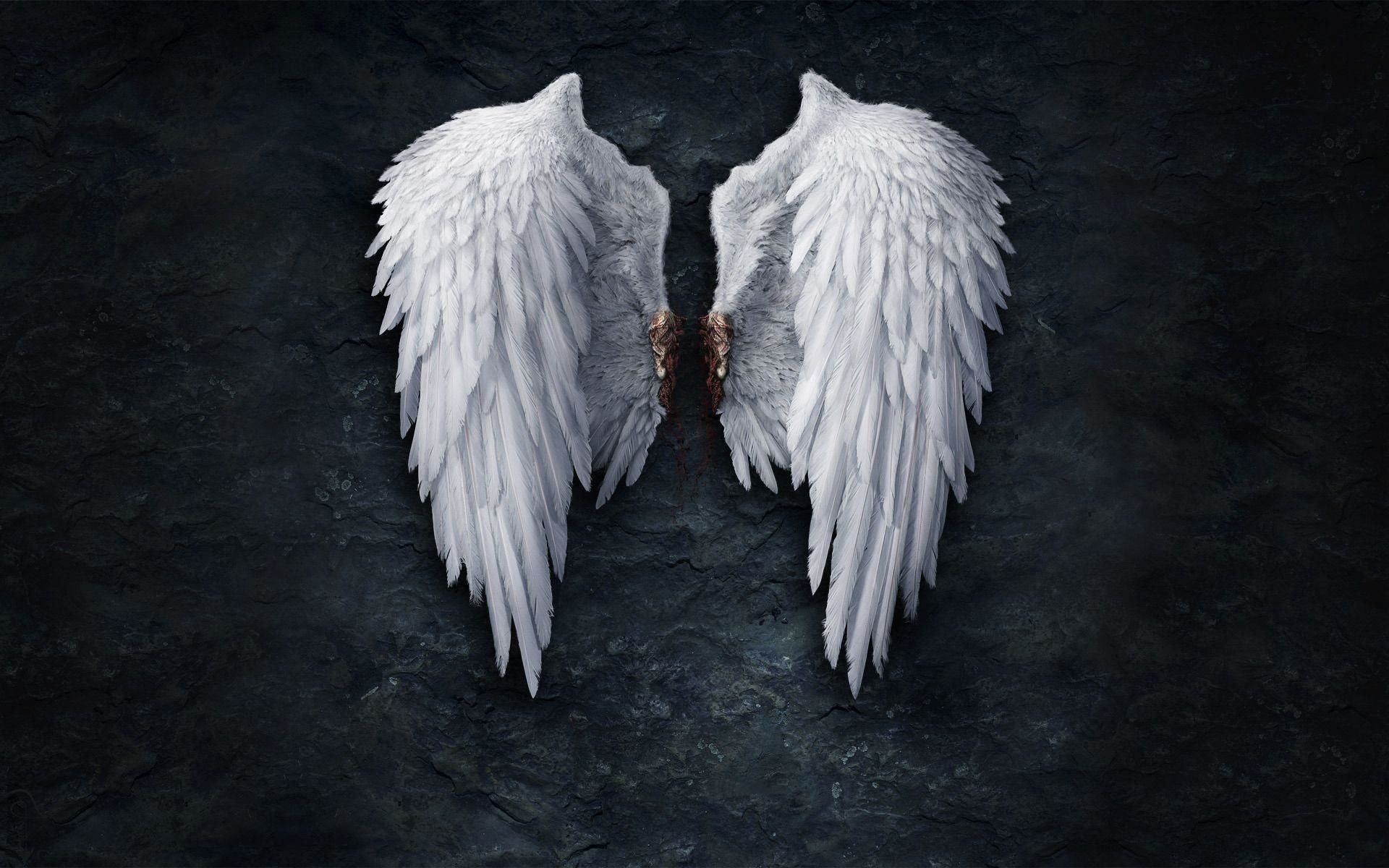 Detail Angel Wing Backgrounds Nomer 8